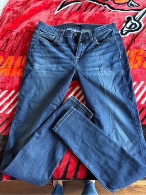 Joe's Jeans Skinny Dark Blue Stretch Denim